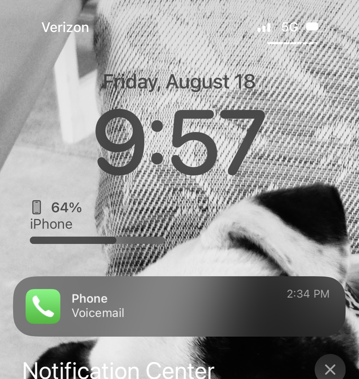 Community Forums Voicemail Notifications delay. Apple IPhone