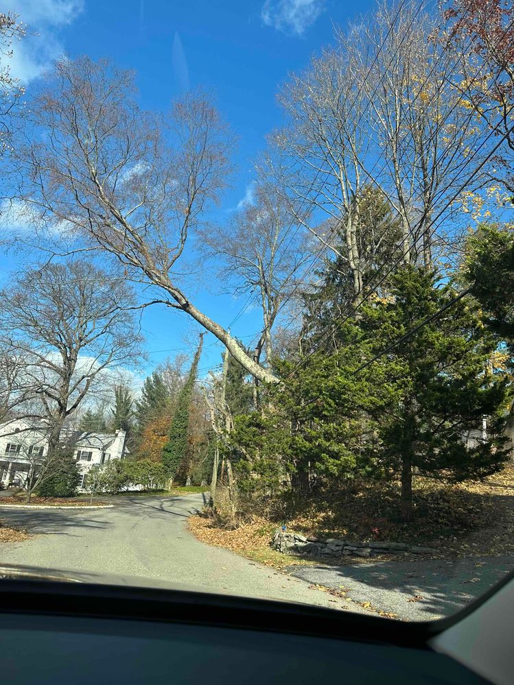 River Rd Briarcliff Manor.jpg